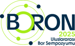 BORON2025